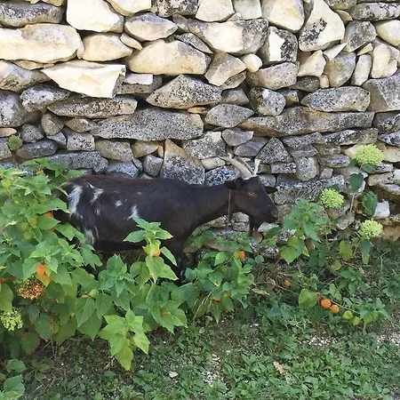 Holiday home Holiday Abbateggio